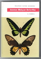 Common Malayan Butterflies.