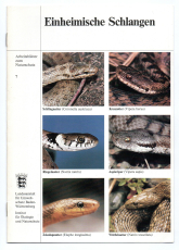 Einheimische Schlangen.