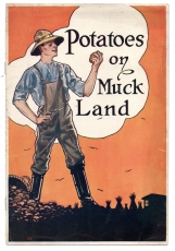 Potatoes on Muck Land.