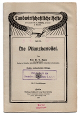 Die Pflanzkartoffel.