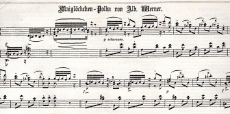 Maiglöckchen-Polka von Alb. Werner.
