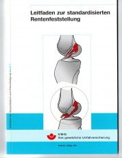 Leitfaden zur standardisierten Rentenfeststellung.