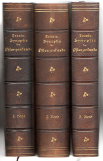 Synopsis der Pflanzenkunde.