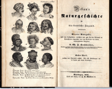 Rebau's Naturgeschichte für deutsche Jugend.