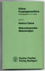 Makroskopische Meeresalgen.