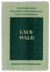 Laubwald.