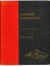 Chordate Morphology.