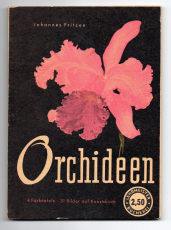 Orchideen.