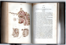Précis iconographique de Médecine Opératoire et d'Anatomie Chirurgicale.
