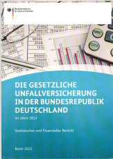 Die gesetzliche Unfallversicherung in der Bundesrepublik Deutschland im Jahre 2013.