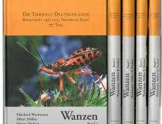 Wanzen.