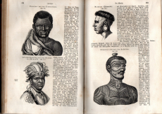 Die gesammten Naturwissenschaften.