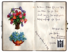 Poesiealbum der Anna L.