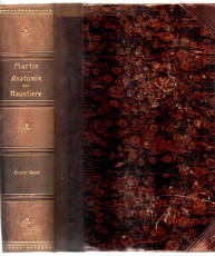 Lehrbuch der Anatomie der Haustiere.