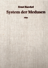 Das System der Medusen.