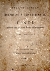 Untersuchungen zur Morphologie und Systematik der Vögel, zugleich ein Beitrag zur Anatomie der Stütz- und Bewegungsorgane.