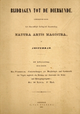 Untersuchungen zur Morphologie und Systematik der Vögel, zugleich ein Beitrag zur Anatomie der Stütz- und Bewegungsorgane.