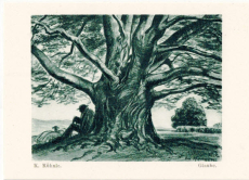 Des Christen Fest, Freud und Leid.