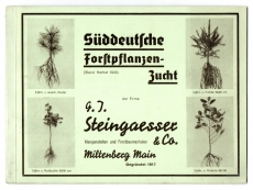 G. J. Steingaesser & Co., Klenganstalten und Forstbaumschulen, Miltenberg Main, Gegründet 1817.