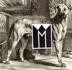 Der größte jetzt lebende Hund.