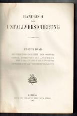 Handbuch der Unfallversicherung in drei Bände.