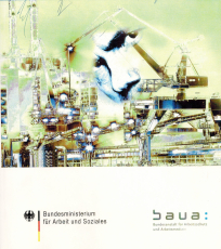 Sicherheit und Gesundheit bei der Arbeit 2005.