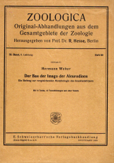 Der Bau der Imago der Aleurodinen.