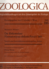Die Elefantenlaus Haematomyzus elefantis Piaget 1869.