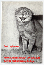 Verhaltensstudien an Katzen.