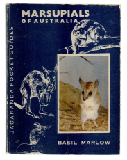 Marsupials of Australia.