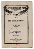 Die Pflanzkartoffel.