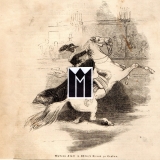 Madame Klatt in Astleys Circus zu London.