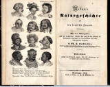 Rebaus Naturgeschichte für deutsche Jugend.