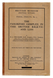 The Panorpoid Complex in the British Rhaetic and Lias.