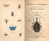 Manual of Entomology.