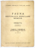 Fauna.