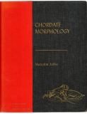 Chordate Morphology.