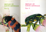 Beetles of South Australia.