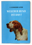 Welcher Hund ist das?