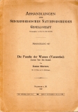 Die Familie der Warane (Varanidae).