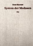 Das System der Medusen.
