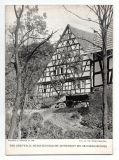 Der Odenwald.