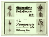 G. J. Steingaesser & Co., Klenganstalten und Forstbaumschulen, Miltenberg Main, Gegründet 1817.