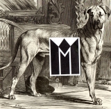 Der größte jetzt lebende Hund.
