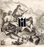 Im Karpat: Goralen auf dem Gemsjagd.
