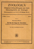 Der Bau der Imago der Aleurodinen.