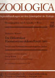 Die Elefantenlaus Haematomyzus elefantis Piaget 1869.
