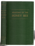 Anatomy of the Honey Bee.