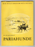 Pariahunde.