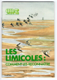 Les Limicoles: Comment les Reconnaître.